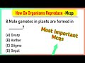 how do organisms reproduce mcq class 10 |Class 10 MCQs on "How do Organisms Reproduce"