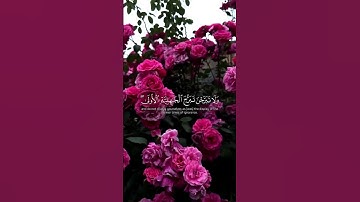 اجر لي ولكم #القارئ_ماهر_المعيقلي #قرآن
