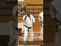 Taiji kase  put your imagination in waza code  karate kaseha shotokan 