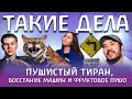 Пушистый тиран, Восстание машин, Пиво для мам | Такие дела