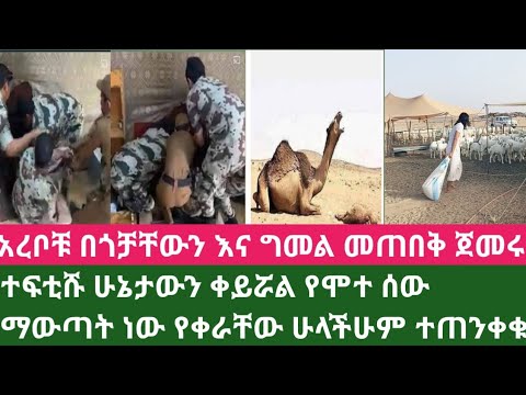 ቪዲዮ: አሳማ ከአትክልቶች እና 