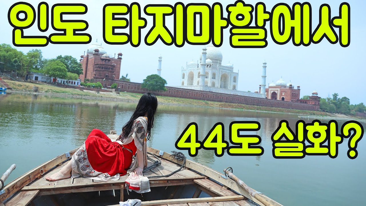 나홀로 인도여행 #8 타지마할 드디어 가보다  | 아그라에서 보트타기 | 원숭이천국 | 브리야니 먹방 | #사막 #india #여자혼자여행 #tajmahal #타지마할