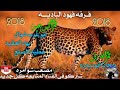لهجه جديده ابو عرب وعطيه لاصلع وبهاء العقيد ناار نااار 2018 