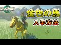【激レア】「金色の馬」の入手方法！【ゼルダの伝説/ティアキン/TotK】
