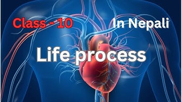 Life Process - Class 10 (Blood and Blood vessels) In Nepali