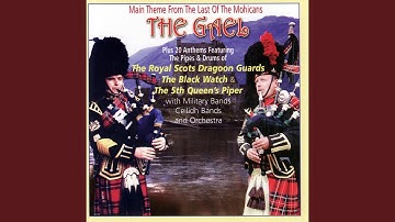 Thumbnail of The Black Bear