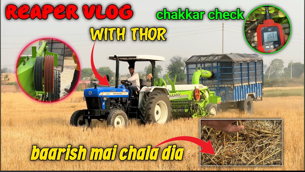 Thor के लिए पुली कर दी चेंज। बिल्कुल गीला फूसा 😢। New holland 3630 vs Reaper Performance Vikram Thua