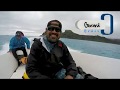 Spearfishing french polynesia  asd fatty fatty wahoo