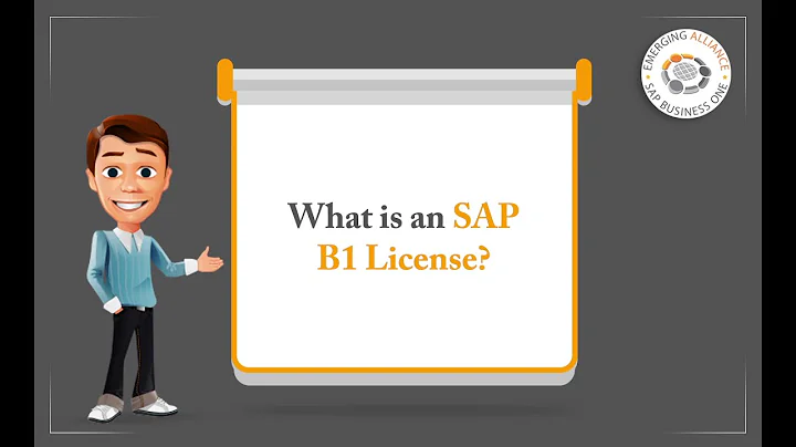 WHAT IS AN SAP BUSINESS ONE LICENSE AND HOW MANY SHOULD I BUY?