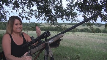 Vampigra Coyote Shouldn