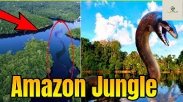 Amazon Jungle: 5 Unsolved Mysteries