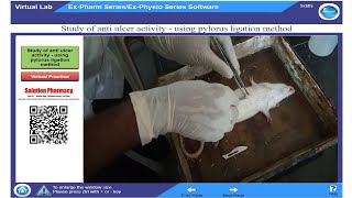 Antiulcer Activity By Pylorus Ligation Method in Rat | Ex-Pharm Software | हिंदी में समझिये