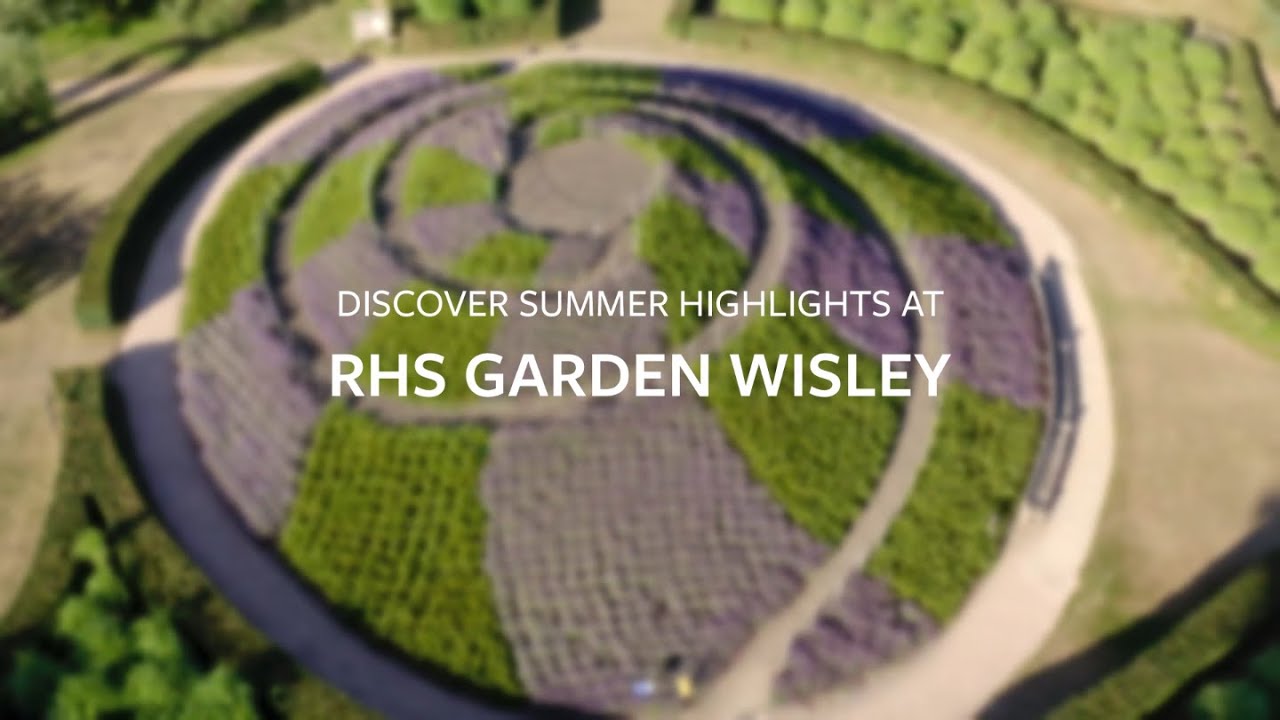 Summer Highlights Rhs Garden Wisley Rhs Youtube
