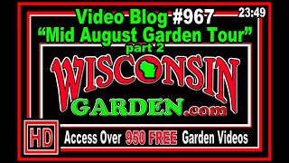 Mid August Garden Tour part 2 - Wisconsin Garden Video Blog 967