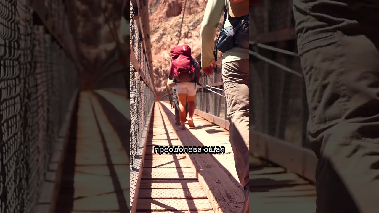 Архитектурная алхимия: мосты, соединяющие реальности