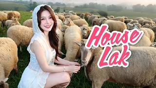 Đỉnh Cao Nhạc Lak - Nhạc Remix Hot TikTok - Mixset Nhạc Tủ House Lak & Deep House Cực Xịn 2026