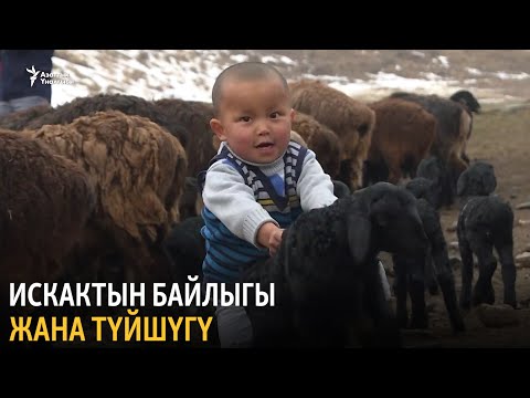 Искактын байлыгы жана түйшүгү