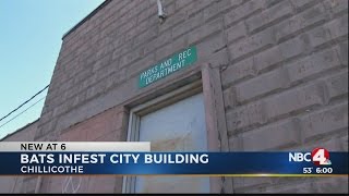 Bats invade Chillicothe building