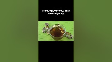 Bài thuốc quý từ cây trinh nữ hoàng cung