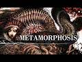 Metroidvania diferenciado - Metamorphosis