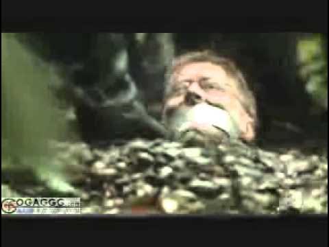 ქაღალდის ტყვია სერია 10 Qagaldis tkvia 10