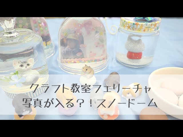 フォトスノードーム