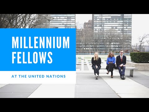 Millennium Fellows at the United Nations