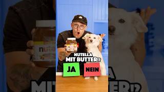 Würdest Du das auch so machen?! 🤔 #hund #tiere #vlog