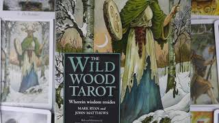 The Wildwood Tarot Flip Through