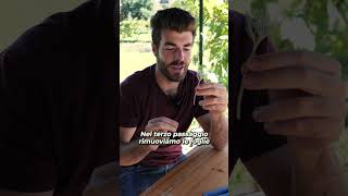 Talea Di Lavanda, 3 Semplici Paggi