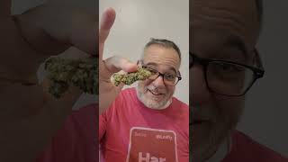 Truro Cannabis: Caps Junky Authentic Review