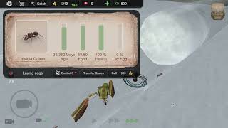 ant sim tycoon!!! screenshot 3