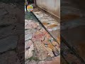 Esta casa no centro de Ouro Preto oferece riscos a pedestres e motoristas.