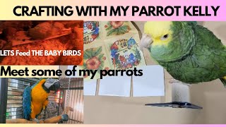 Crafting with my parrot making parrot coasters. Donate to buy Kelly toys hit $ Thanks under video. 🦜