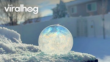 Mesmerizing Frozen Soap Bubbles || ViralHog