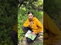 Impollinatori