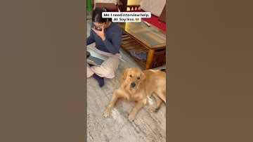 Comment for website link 🔗 #ai #jobhunt #careeradvice #interview