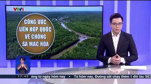 Khu vực nào bị sa mạc hóa nghiêm trọng nhất năm 2024