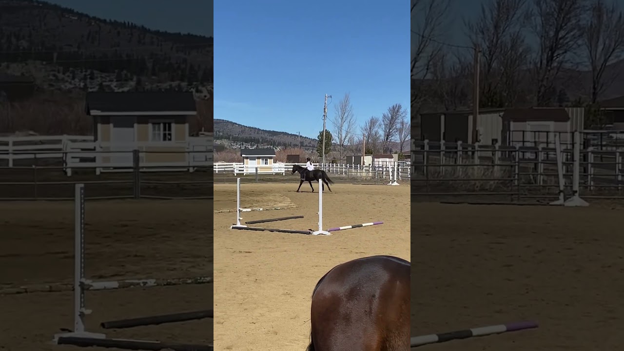 Just a lil baby spook that caught me off guard 😅 