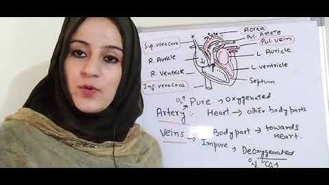 JKSSB CLASS IV 2020 / SCIENCE - BIOLOGY LEC 06 / ACCOUNTS ASSISTANT BASIC LEVEL.