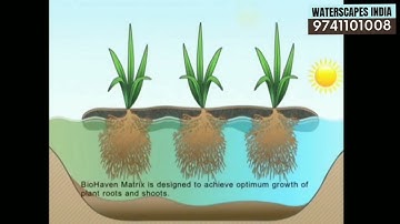 Floating wetlands filtration offered by Waterscapes India @waterscapesindia