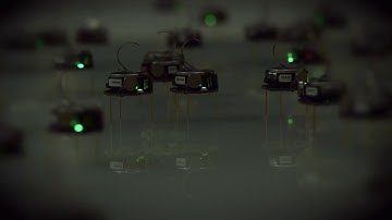 KILOBOTS take on BBC Radio 1