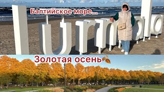 видео: ✅Юрмала- золотая осень в курортном городе… #latvija #vlog #marido66  картинка: ✅Юрмала- золотая осень в курортном городе… #latvija #vlog #marido66