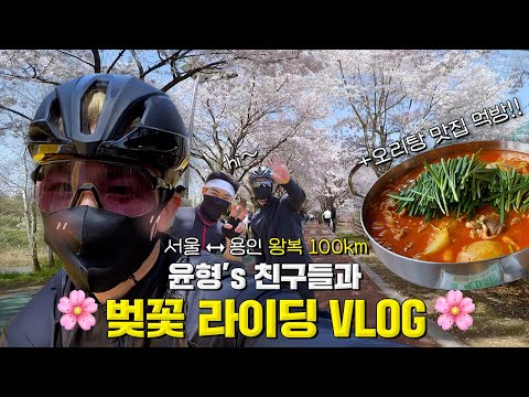 [SUB] 친구들과 서울-용인 왕복 100km 벚꽃 라이딩 🚴 | Seoul - Yongin 100km Cherry Blossom Bike Ride with Friends 🚴 thumbnail