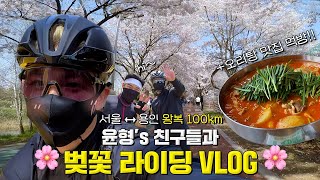 [SUB] 친구들과 서울-용인 왕복 100km 벚꽃 라이딩 🚴 | Seoul - Yongin 100km Cherry Blossom Bike Ride with Friends 🚴