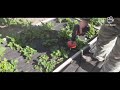 Подготовка грядки под садовую клубнику