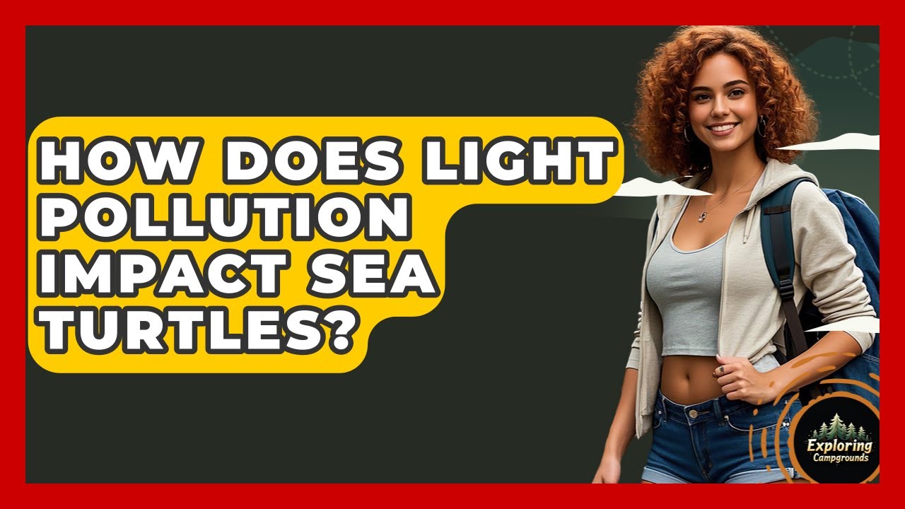 How Does Light Pollution Impact Sea Turtles? - Exploring Campgrounds