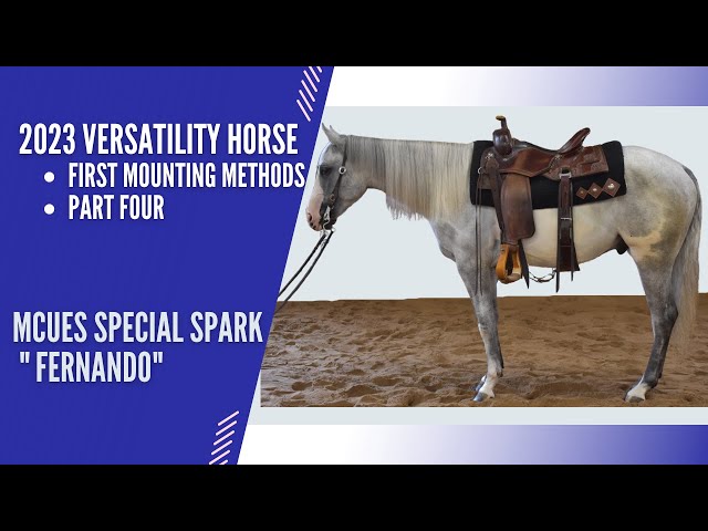 Colt Starting - First Mounting Foundation Methods Part 4 - Russ Krachun Kozak Horsemanship