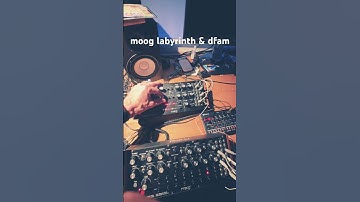 moog labyrinth & dfam late night jam #techno #electronicmusic