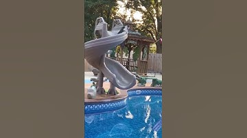 Funny Cat falling in Water 😂      #shorts #cats